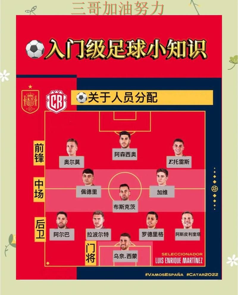 世界杯买球怎么选？真实体验带你了解（世界杯官方信息）